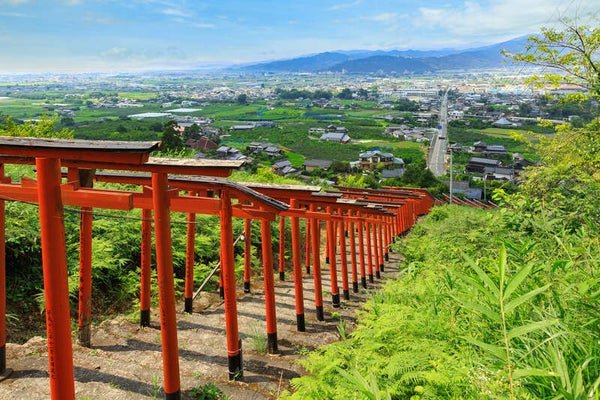 【博多発】 柿!梨!バラ!秋桜!お菓子!5つのよくばり!秋にいく実りのふくおか 日帰り1